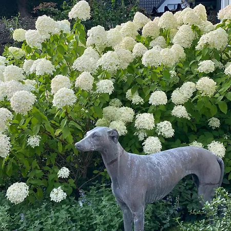 Bed & Breakfast Maison De Sas