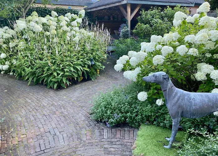 Bed & Breakfast Maison De Sas