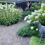 Bed and breakfast Maison De Sas