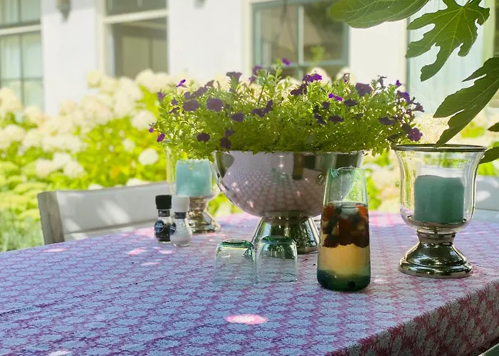 Maison De Sas 3* 라런